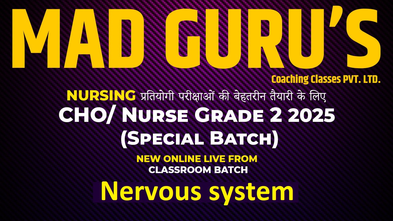 Nervous system | CHO/ Nurse Grade 2
