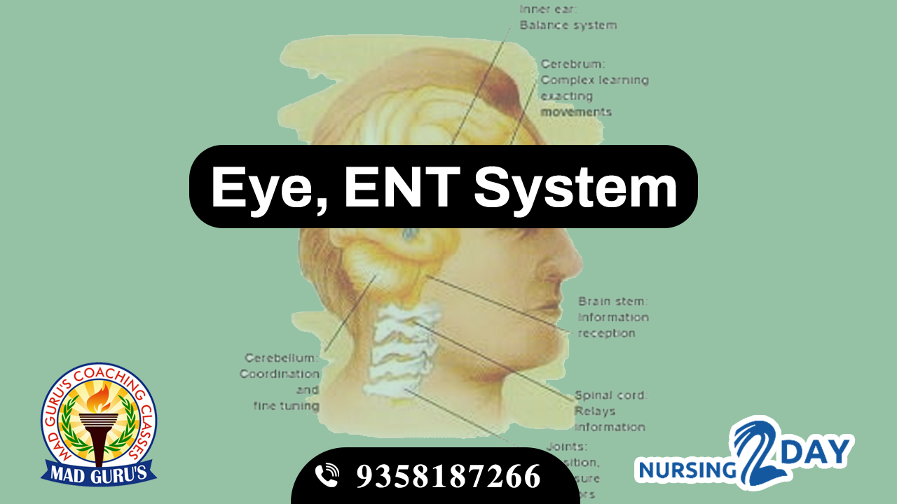 Eye & ENT System
