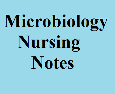 Microbiology Nursing Notes