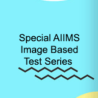 Special AIIMS Image Based Test Series